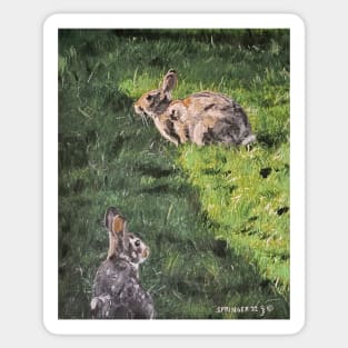 Bunnies in the Grass Sticker